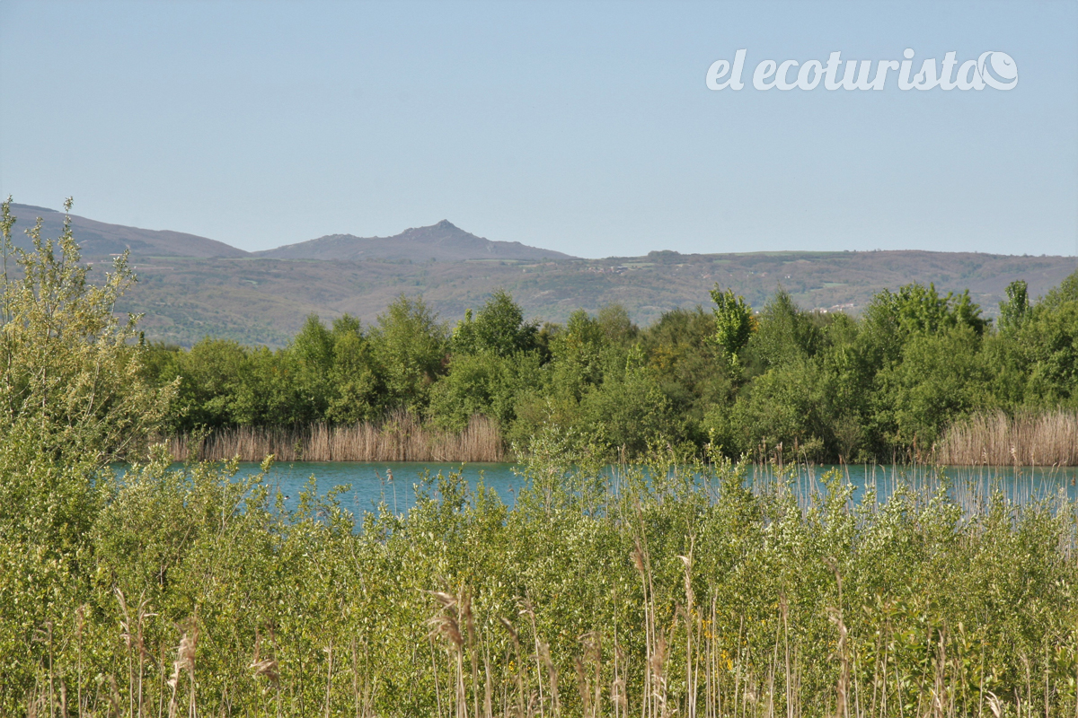 Laguna de Antela, el “hogar gallego” de los somormujos – El Ecoturista