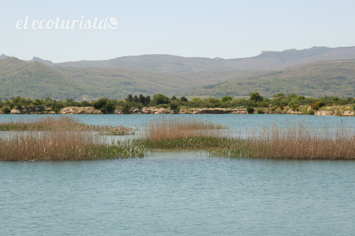 Laguna de Antela, el “hogar gallego” de los somormujos – El Ecoturista