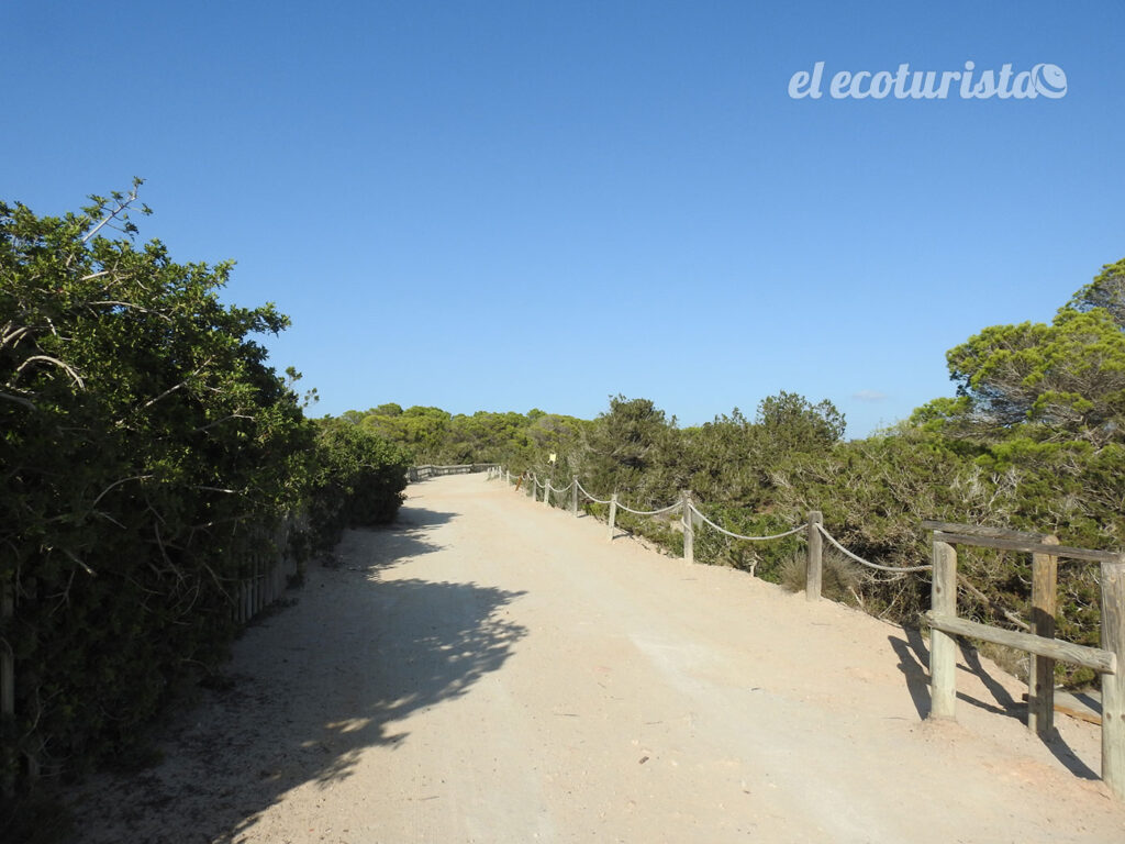 alt="rutas verdes Formentera"