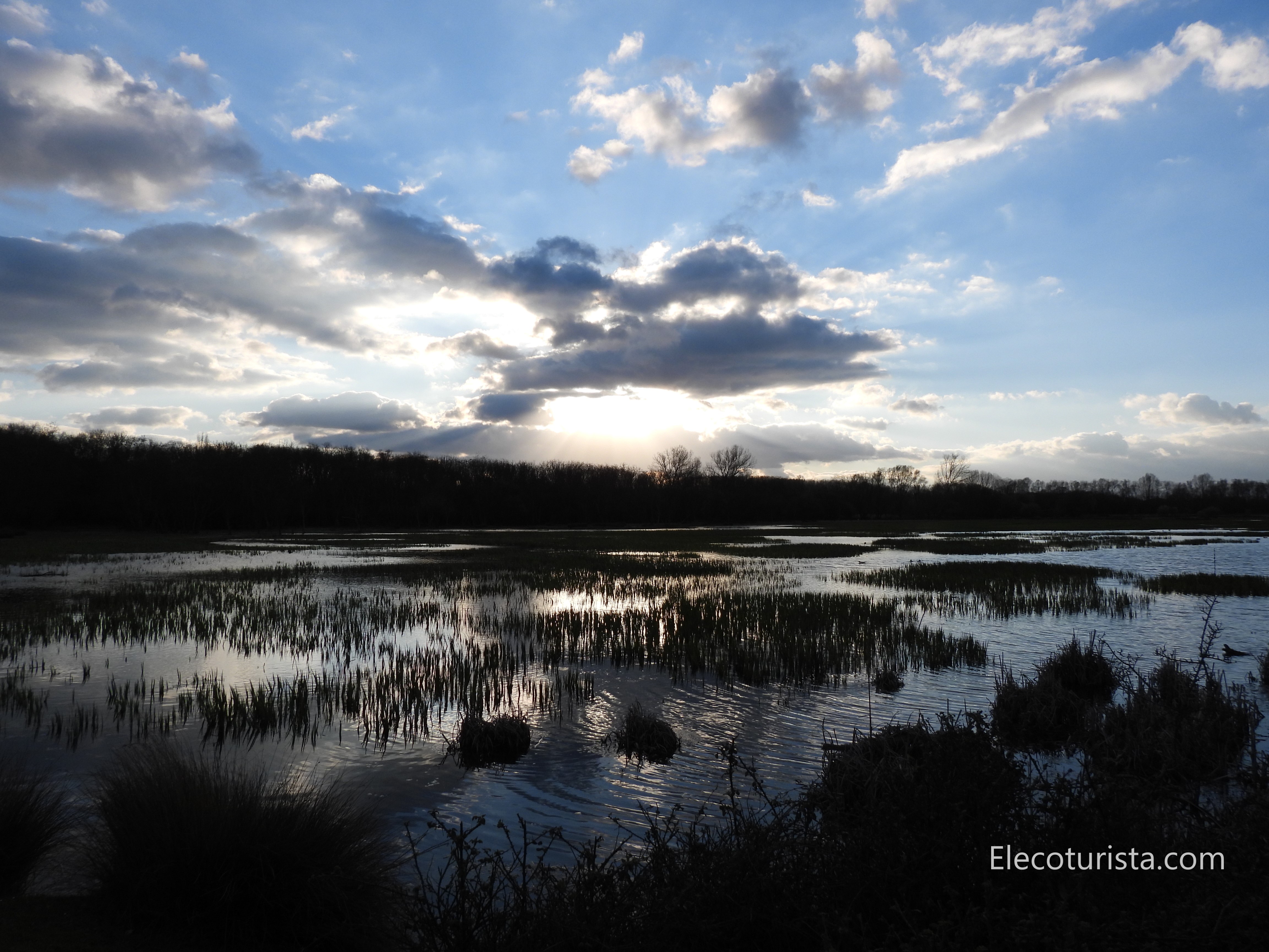 Humedal De Salburua El Ecoturista Humedal De Salburua El Ecoturista