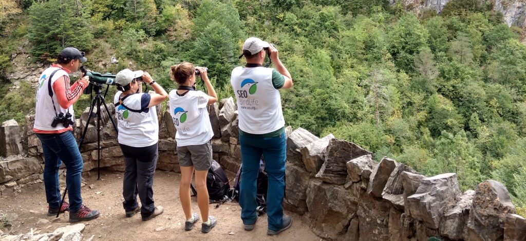 Voluntarios y voluntarias de SEO/BirdLife realizando acciones de ciencia ciudadana sobre el terreno. ©SEO/BirdLife